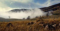 photo "invasion"