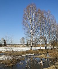 фото "Погожий денек"