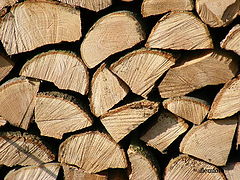 фото "Art in the wood."