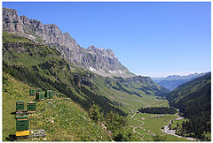 photo "Alpine bee-garden"