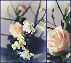 photo "***"