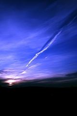 photo "***"