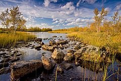фото "Осень"