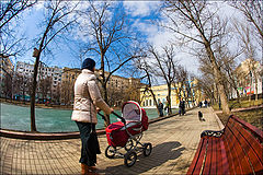 photo "the first spring"