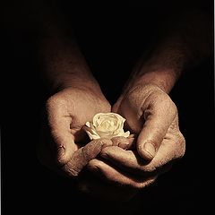 фото "The Renaissance"