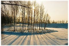 photo "***"