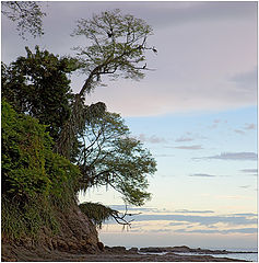 album "Costa Rica"