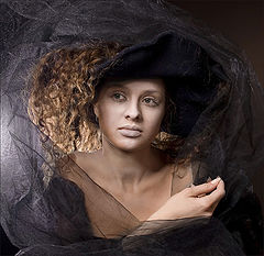 photo "veil...."