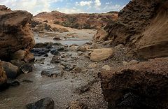 фото "Прогулка к морю-5"