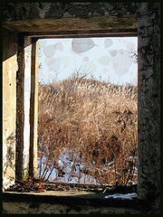 фото "Свет в окне"