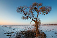 photo "Evening alone"