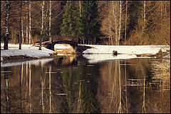 photo "***"