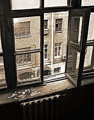 photo "***"