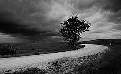 photo "eroica"