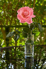 photo "***"