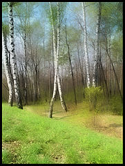 фото "Весенние зарисовки..."