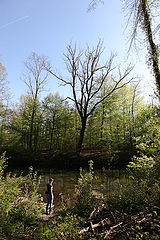 photo "spring #1"