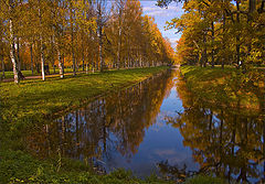 photo "a golden time .."