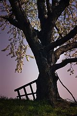photo "***"