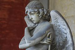 фото "The Monteverde Angel"