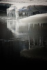photo "***"
