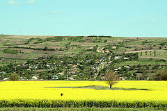 photo "Spring time / Весенняя погода"