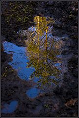 photo "There somewhere the sun and spring...."