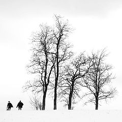 photo "***"