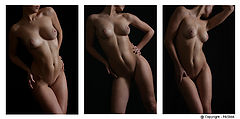 фото "the body"