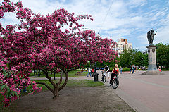 photo "***"