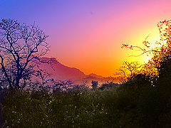 photo "Sunset"