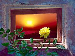 photo "Rose and sun"