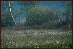 photo "one dreamday"