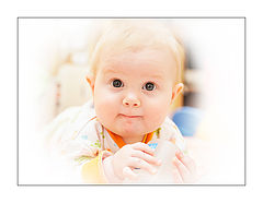 photo "Hello, Your Grace!"