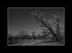 photo "***"
