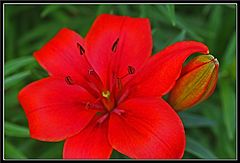 фото "Day Tripper"