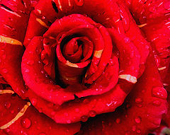 photo "***"
