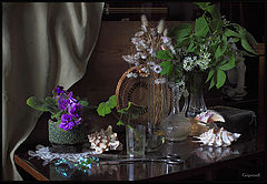 photo "Flowers and shells"