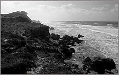 фото "Прогулка к морю-7"