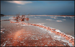 photo "Dead sea ..."