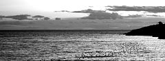 фото "a moment in the evening"