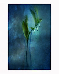photo "3"