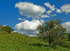 photo "***"