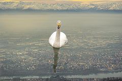 фото "The future city"