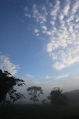 photo "Sunrise in the amazon 2"