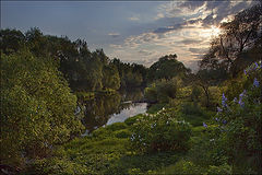 photo "May evening"