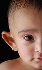 photo "Youngest model"