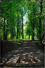 фото "Развилка пути"