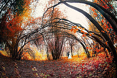 photo "***"