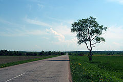 photo "Road to nowhere"